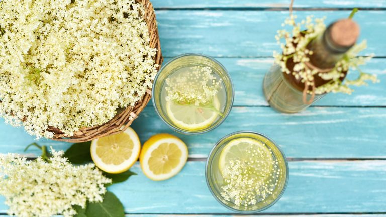 Read more about the article Recipe of the Month – May/June – Elderflower Cordial