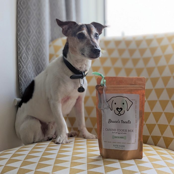 Jack russell dog sat with his personalised dog treat mix.